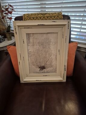Distressed White Framed Sea Fan Wall Art - Home Accents